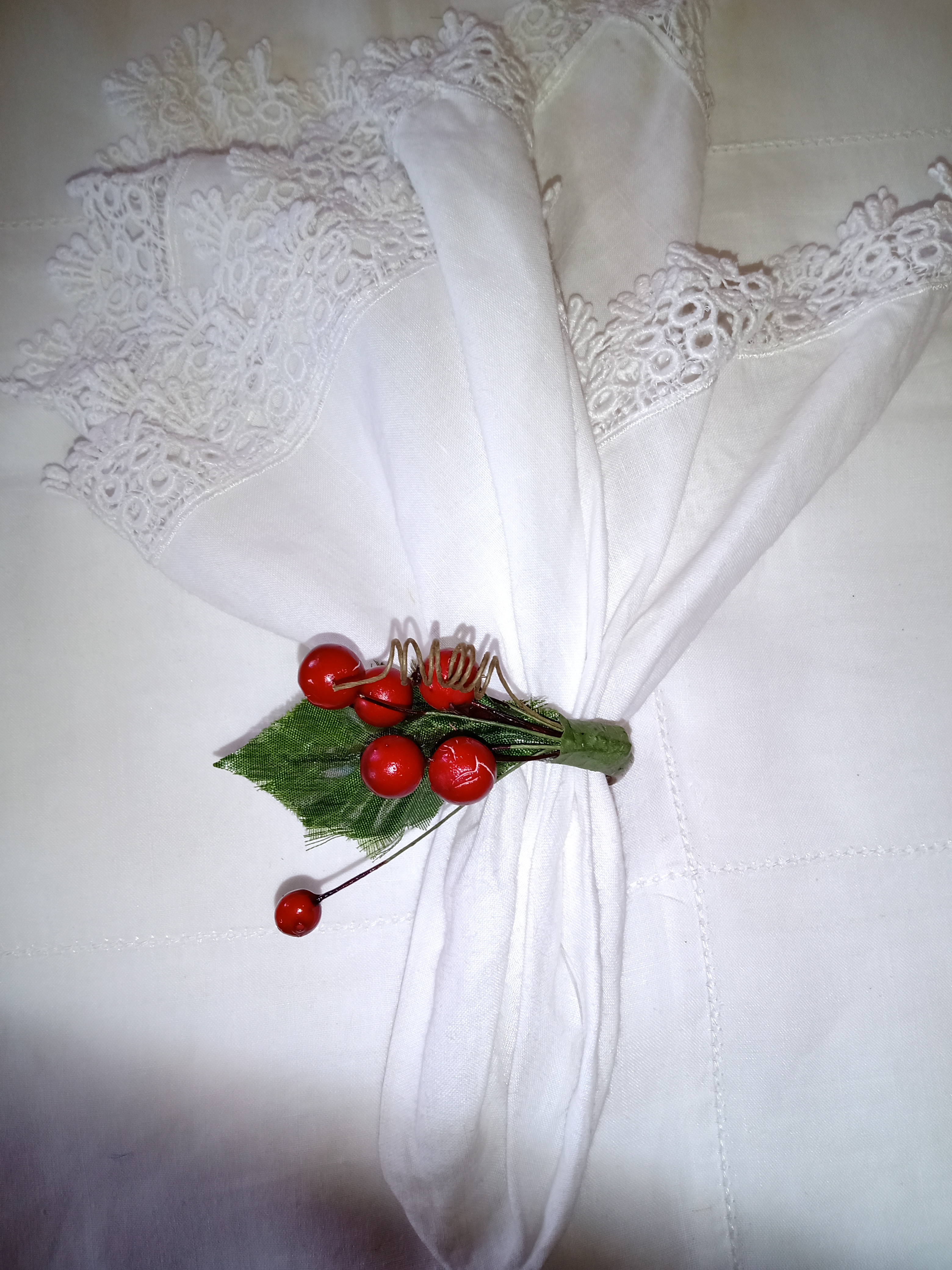 PORTA GUARDANAPO SEMENTES VERMELHA